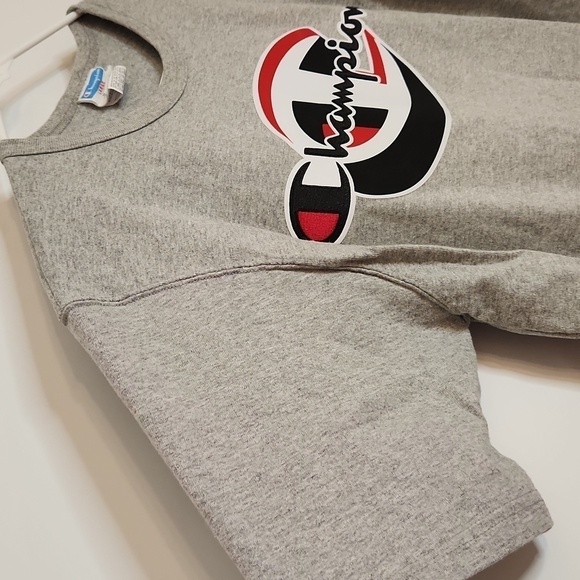 Champion Men's Gray T-Shirt L, Embroidered Logo, Crew Neck - Picture 6 of 9